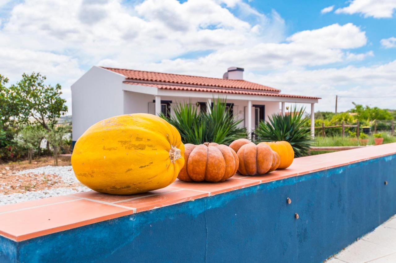 Bed and Breakfast Monte Da Cabeca Gorda Alcacovas Екстер'єр фото